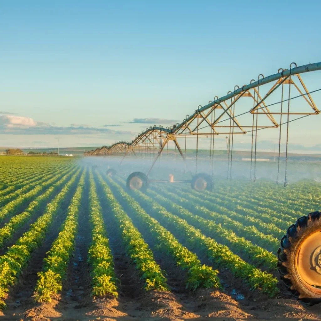 Agricultural-law.webp Agricultural-law.webp